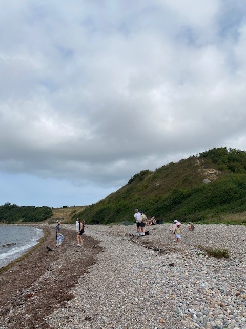 20. juli 2025 - Store Stranddag på Hven - Fra København