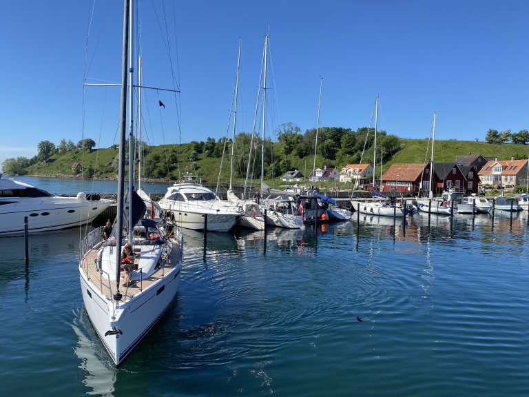 29. juni 2025 - Smagen af Hven - Fra København
